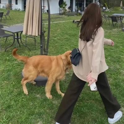女学生艳史
